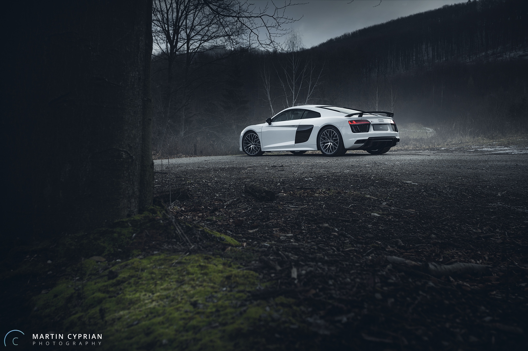 Audi R8 V10 Plus 2016 (9).jpg